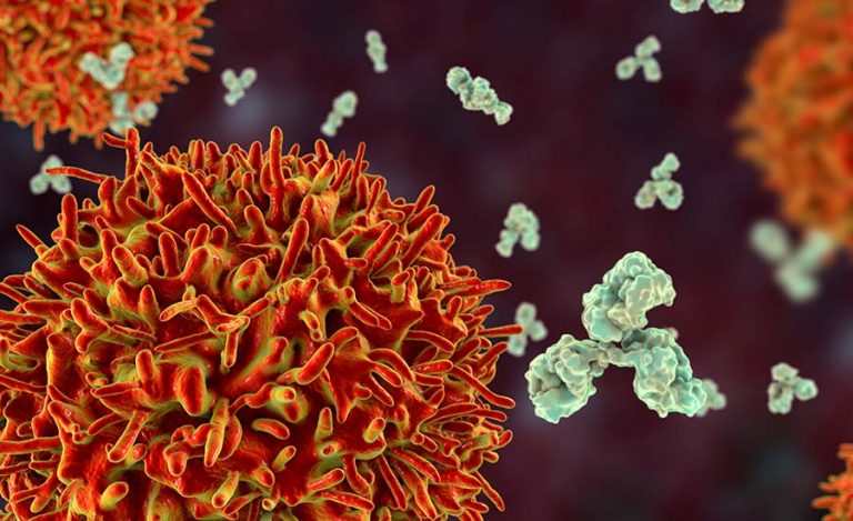 What Are B-Cells? Meet Your Body’s Germ-Fighting Army