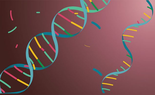 DNA vs. RNA — 5 Key Differences You Should Know