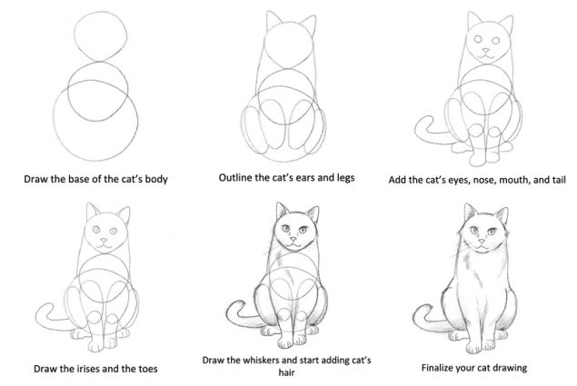 How To Draw A Cat For Beginners [Video Tutorial]