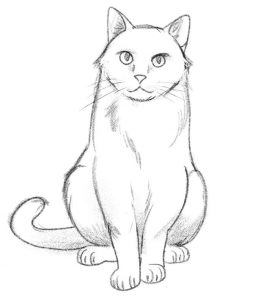 How To Draw A Cat For Beginners [Video Tutorial]