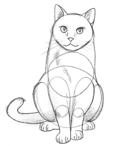 How To Draw A Cat For Beginners [Video Tutorial]