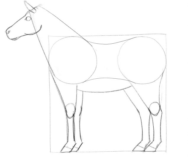 How To Draw A Horse In 10 Steps [A Beginner’s Guide]