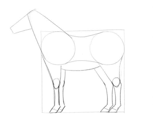 How To Draw A Horse In 10 Steps [A Beginner’s Guide]