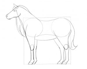 How To Draw A Horse In 10 Steps [A Beginner’s Guide]