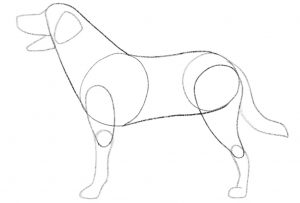 How To Draw A Dog For Beginners [Video Tutorial]