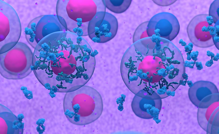 How Are Monoclonal Antibodies Made & How Do They Work?