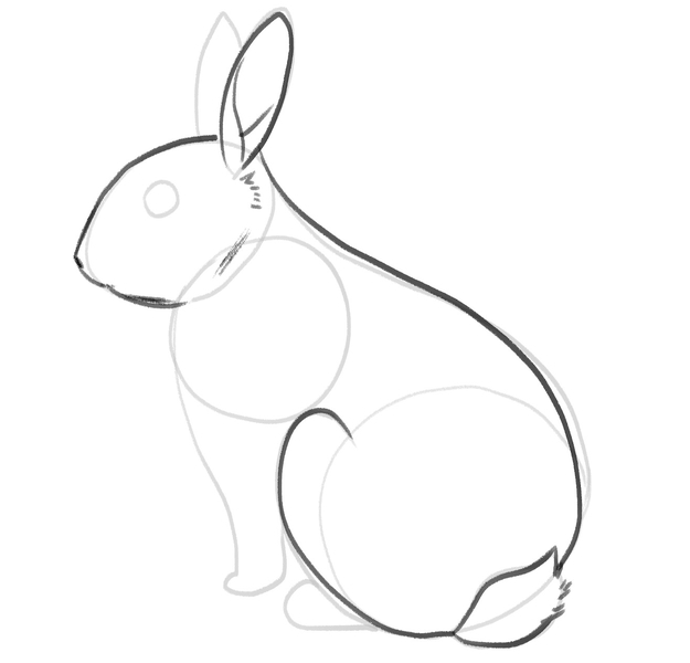 Bunny Drawing In 7 Easy Steps [Video + Illustrations]