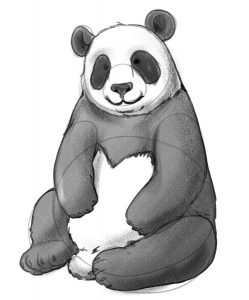 Easy Panda Drawing Guide In 5 Steps [Video + Illustrations]
