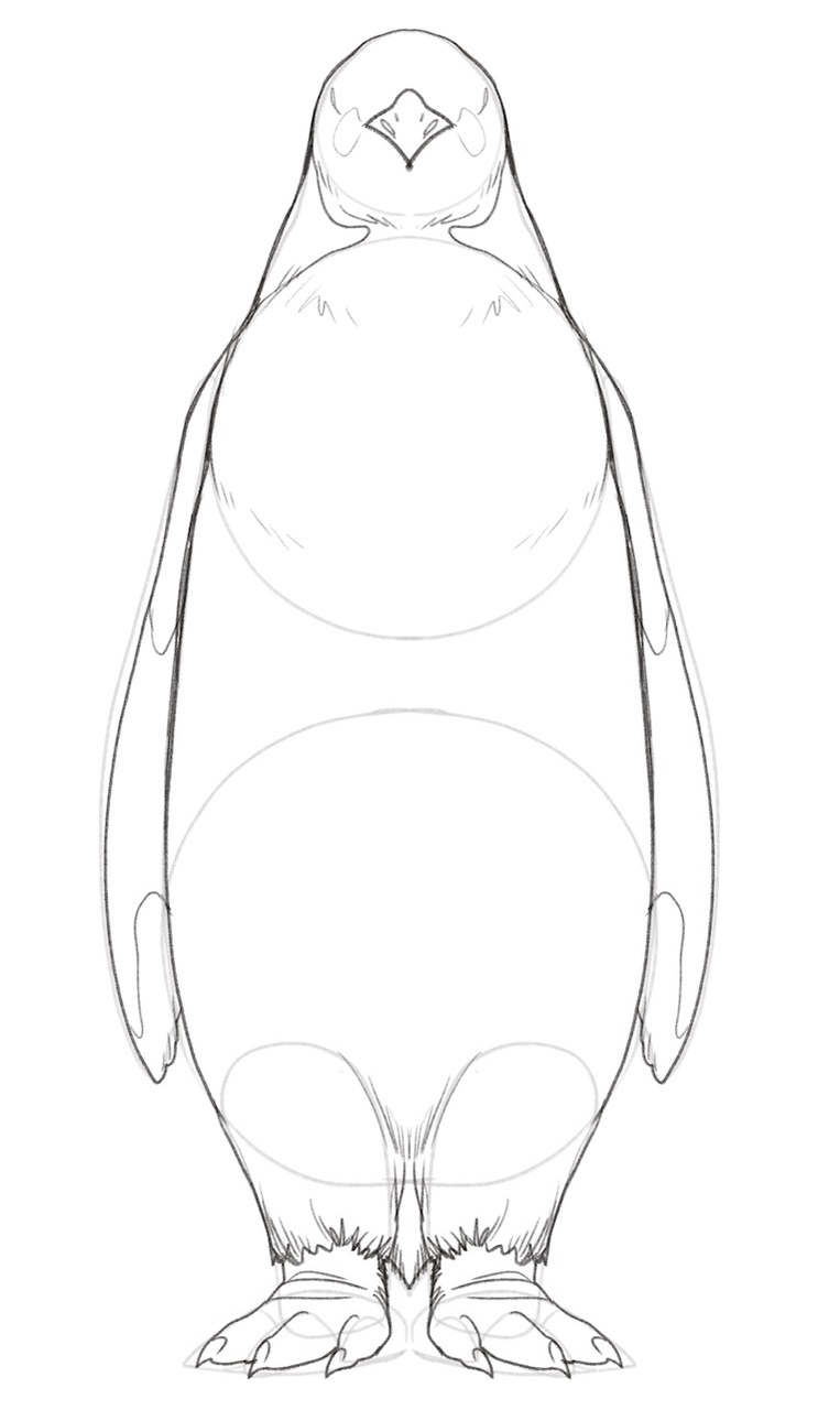 penguin feet drawing