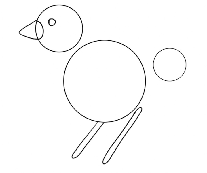 Bird Drawing Guide For Beginners [5 Steps, Video + Images]