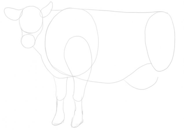 Cow Drawing 101: A Simple 5-Step Guide [Video + Images]