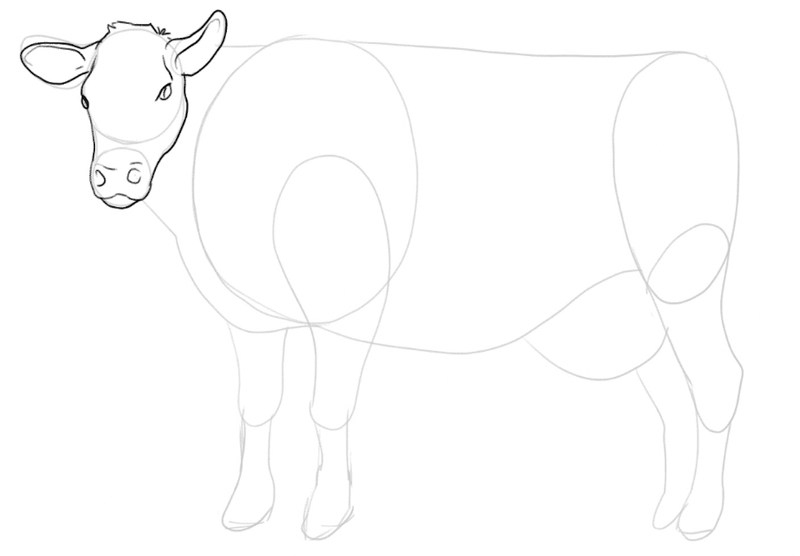 Cow Sketch Images  Browse 40 Stock Photos Vectors and Video  Adobe  Stock
