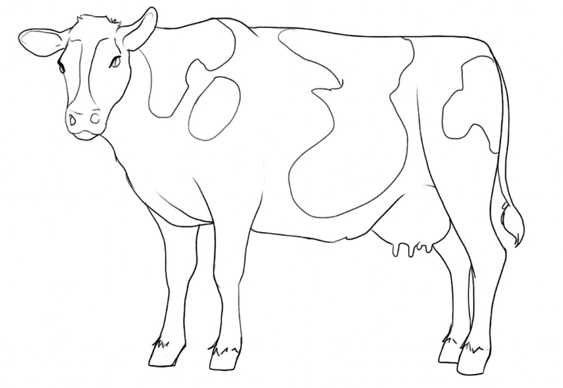 how to draw a simple cow