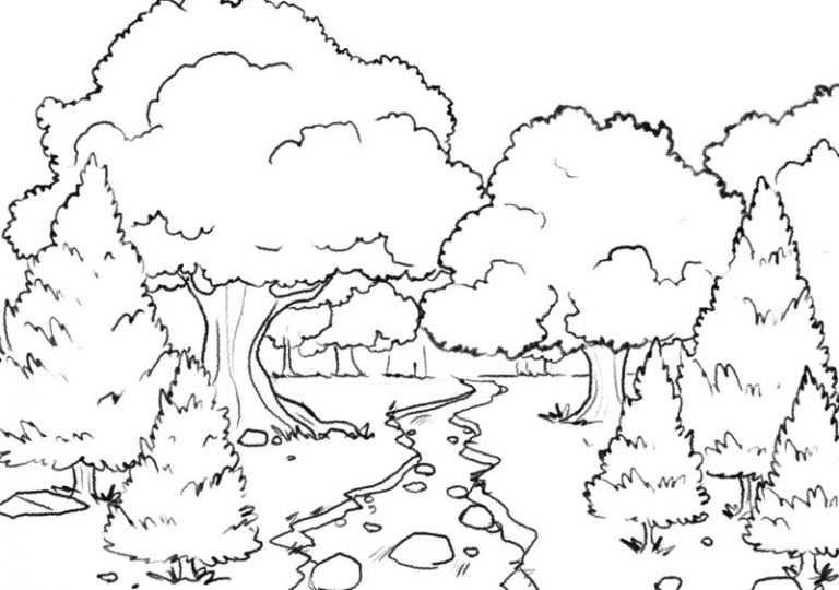 Forest Drawing Guide In 6 Steps [Beginner-Friendly Video + Images Included]