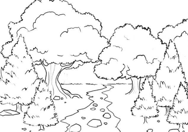 Forest Drawing Guide In 6 Steps [Beginner-Friendly Video + Images Included]