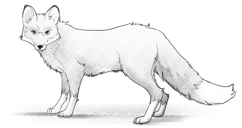 Running Fox Animal Color Sketch Engraving Stock Vector (Royalty Free)  1386521183 | Shutterstock