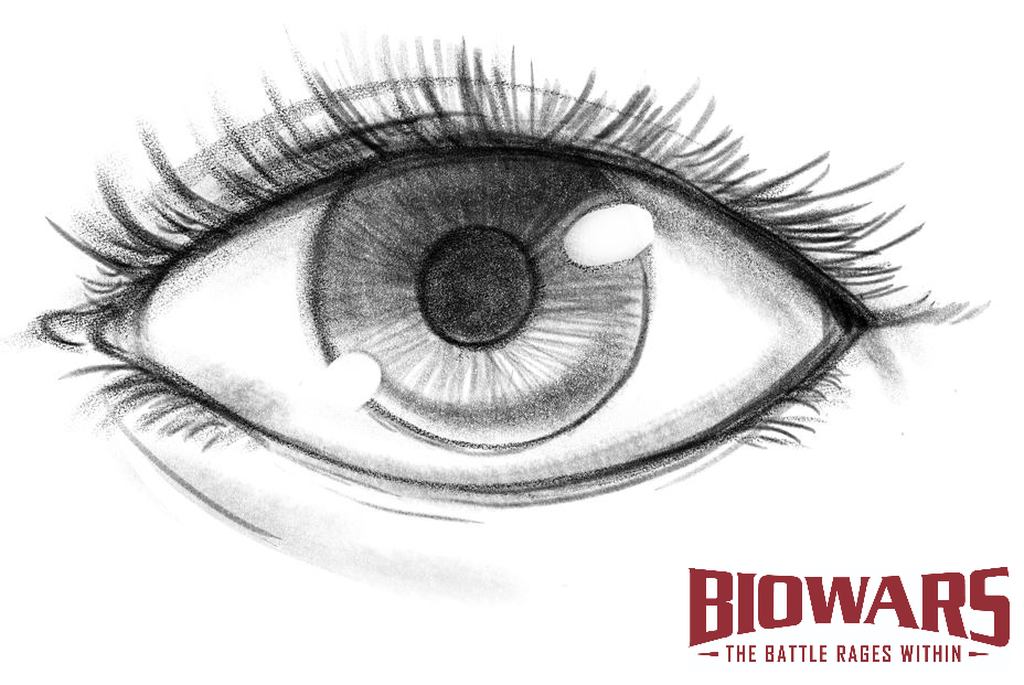 How to Draw an Female Eye Step by Step | Eye drawing, Step by step drawing,  Figure drawing