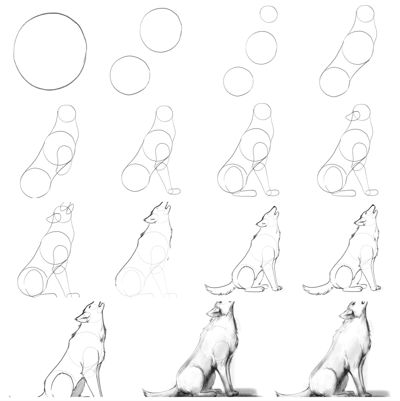 A collage showing the steps to wolf drawing