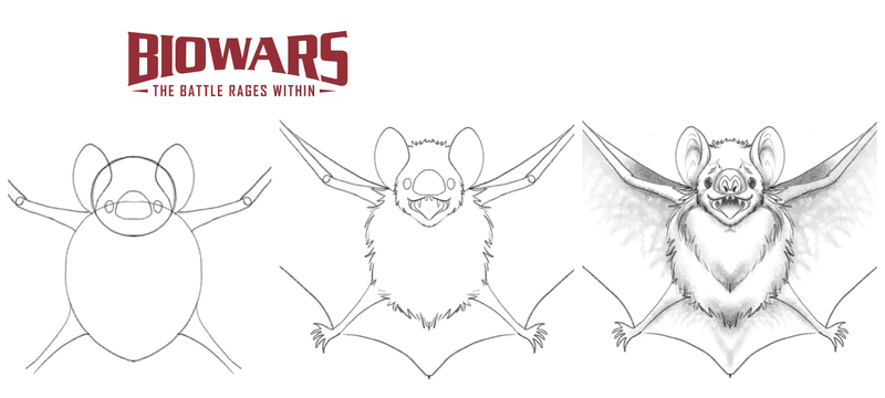How to Draw a Bat Step-by-Step With My Video Guide