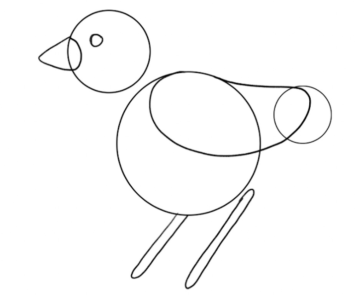 Drawing for Adults  How to Draw Birds 