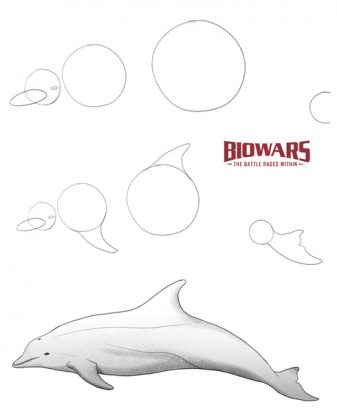 Dolphin Drawing Beginner’s Guide [6 Steps + Video]