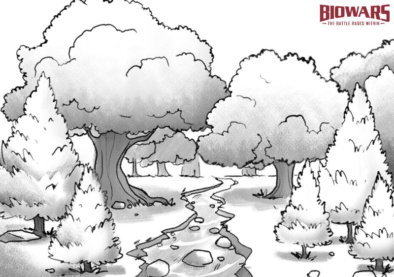 How to Draw a Cartoon Forest in a Few Easy Steps | Easy Drawing Guides