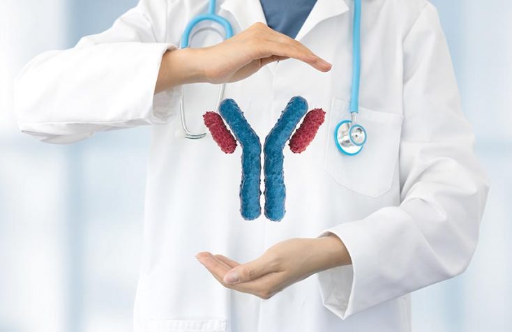 how are monoclonal antibodies made hero image