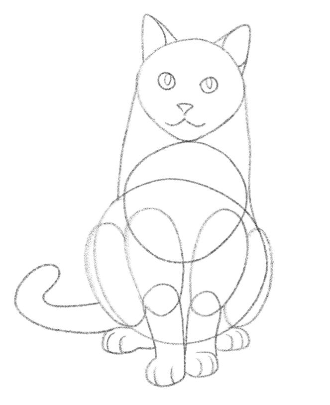 how to draw a cat sketch