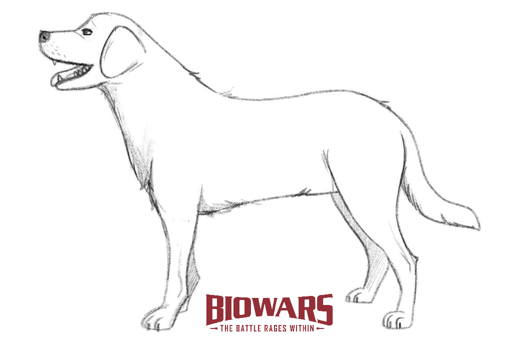 Easy Dog Drawing » How to draw a Dog Step by Step
