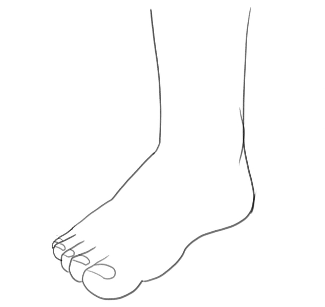 How to Draw a Foot (Simple & Clean Line Drawing) : r/learntodraw