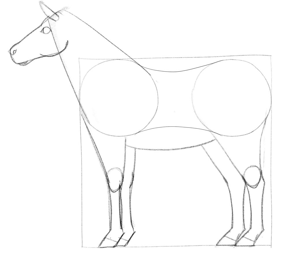learn how to draw horses with simple techniques: simple steps