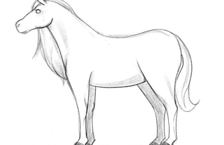 how to draw horse hero image