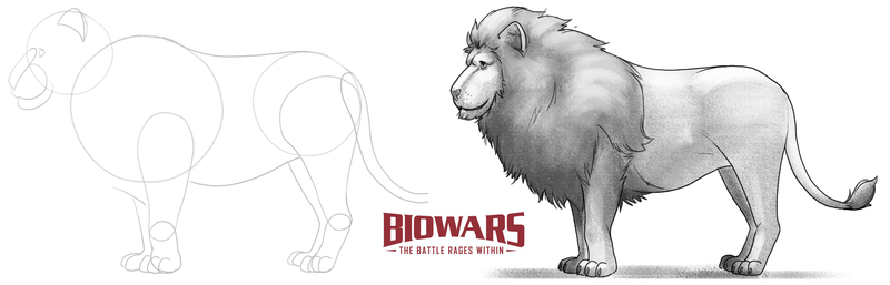 Lion Pencil Drawing :: Behance