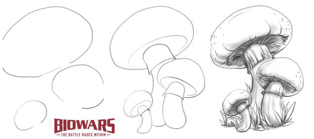 mushroom drawing hero image