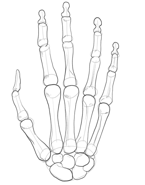 skeleton hand holding drawing