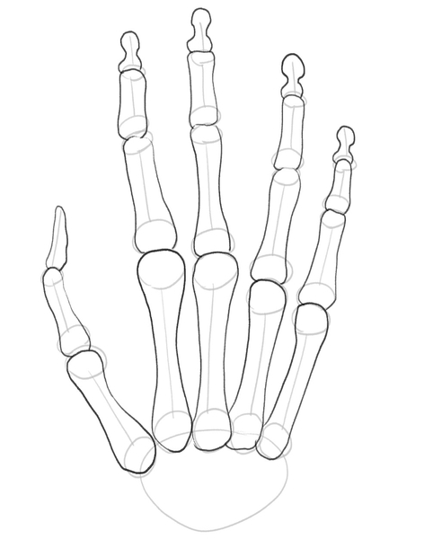 How To Draw Skeleton Hands, Step by Step, Drawing Guide, by Dawn