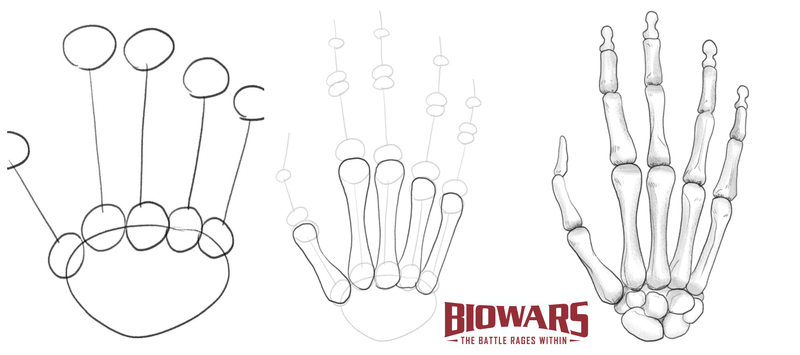 Skeleton Hand Drawing Pictures and Step by Step Guides