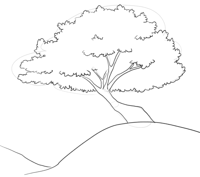 Simple tree sketch  Tree drawing simple Tree drawing Family tree drawing