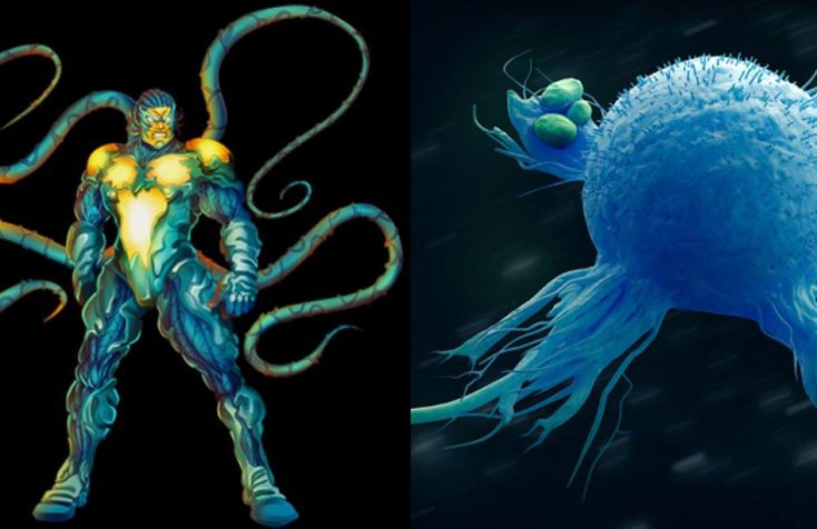 what are macrophages hero image