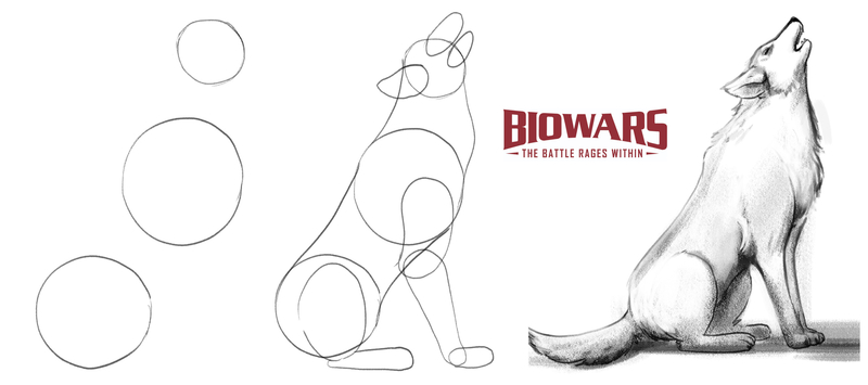 Easy How To Draw A Wolf Tutorial And Wolf Coloring Page 09/2023