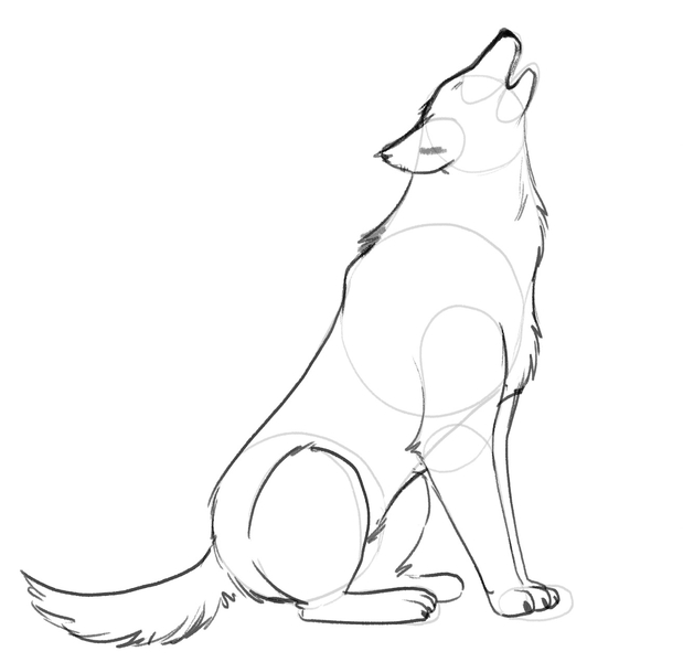 How to Easily Draw a Wolf — Online Art Lessons