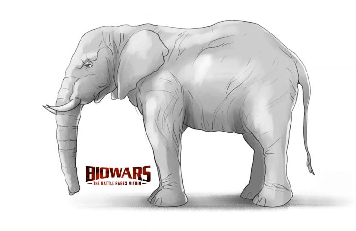 elephant drawing hero image