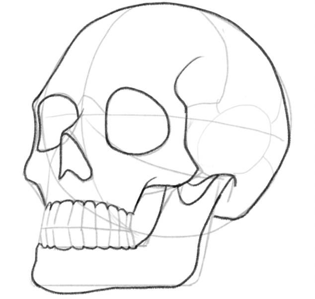 How to draw a Devil's Skull - Sketchok easy drawing guides