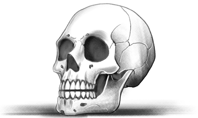 Easy Skull Drawing Tutorial