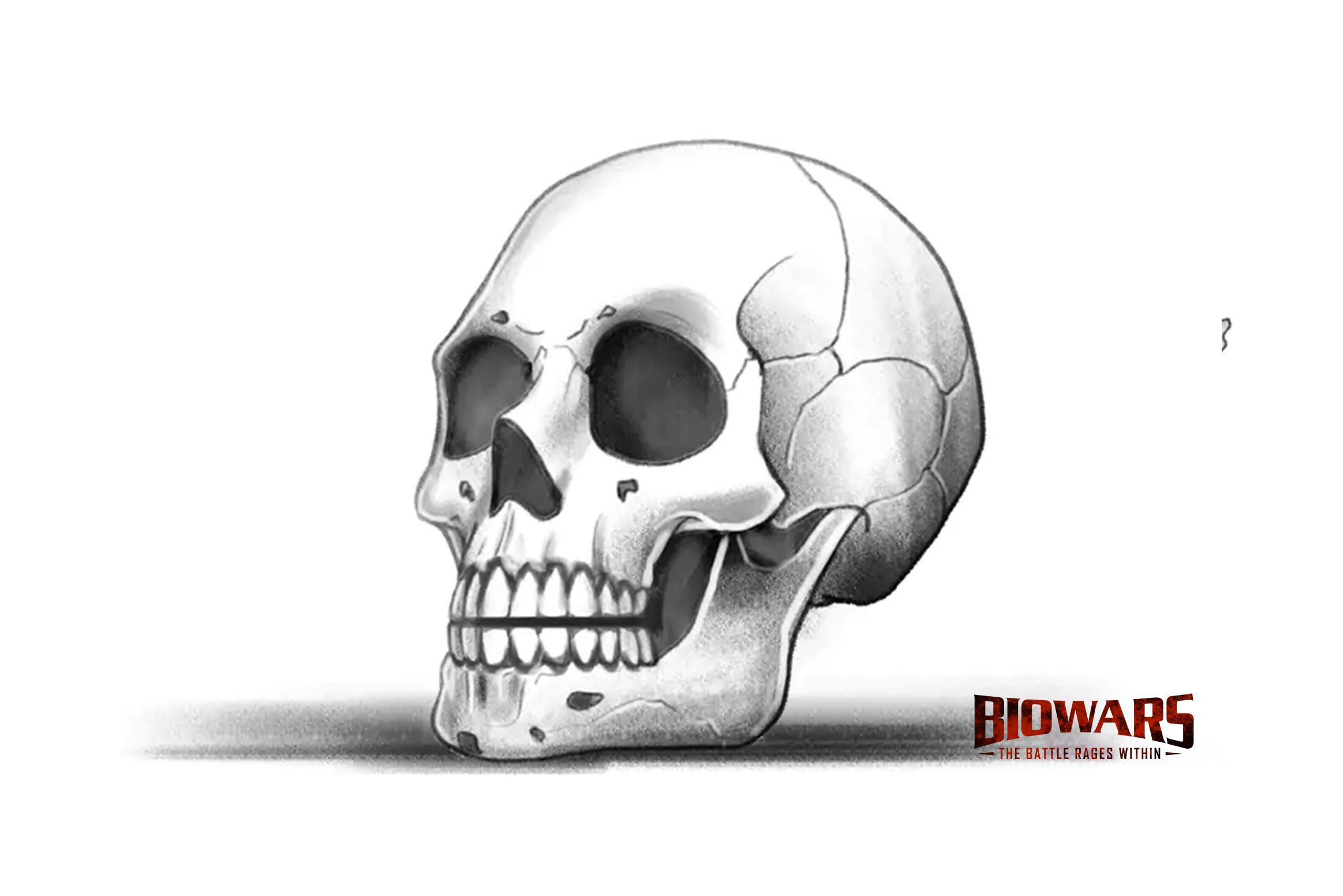 Draw a Skull  Halloween Special  YouTube