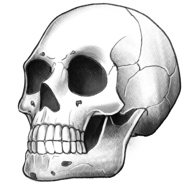 Softly shaded skull.​