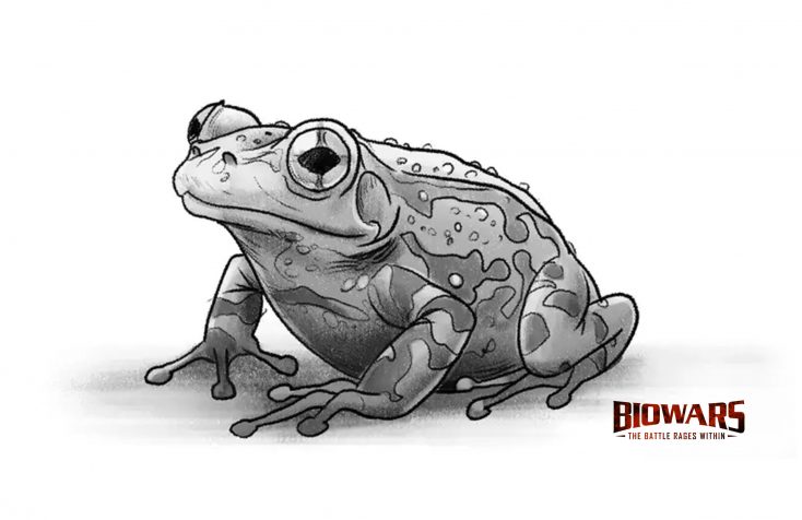 frog drawing hero image