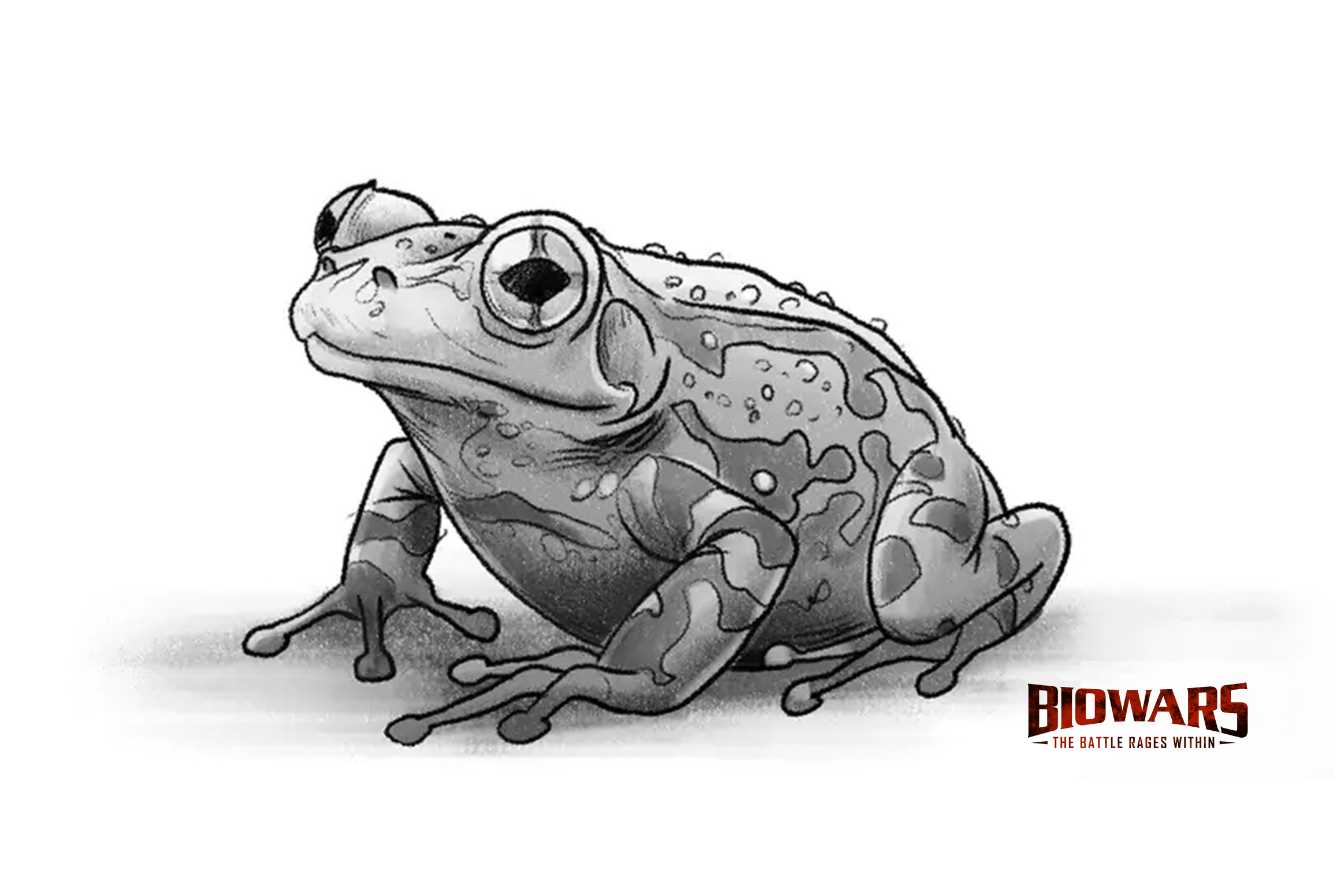 How To Draw A Simple Frog, Step by Step, Drawing Guide, by Dawn - DragoArt