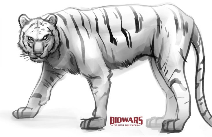 Finished tiger drawing. Image used in the “Tiger Drawing In 5 Easy Steps [Video + Images]” blog post.​