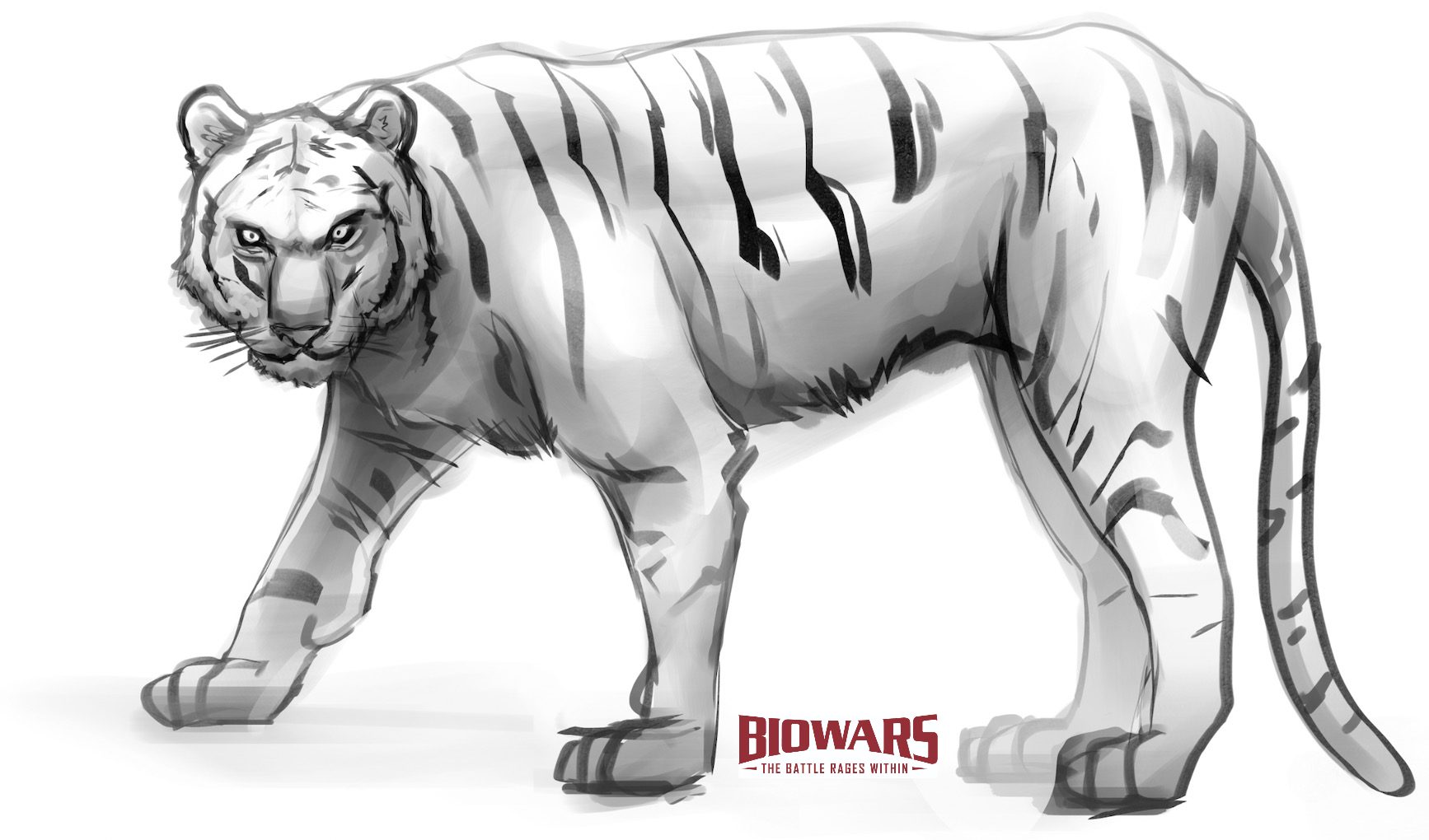 How To Draw White Tiger | How To Draw A White Tiger Face Step By Step | by  cool drawing ideas | Medium
